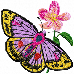Butterfly Embroidery Design 10